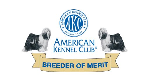 AKC Breeder of Merit badge